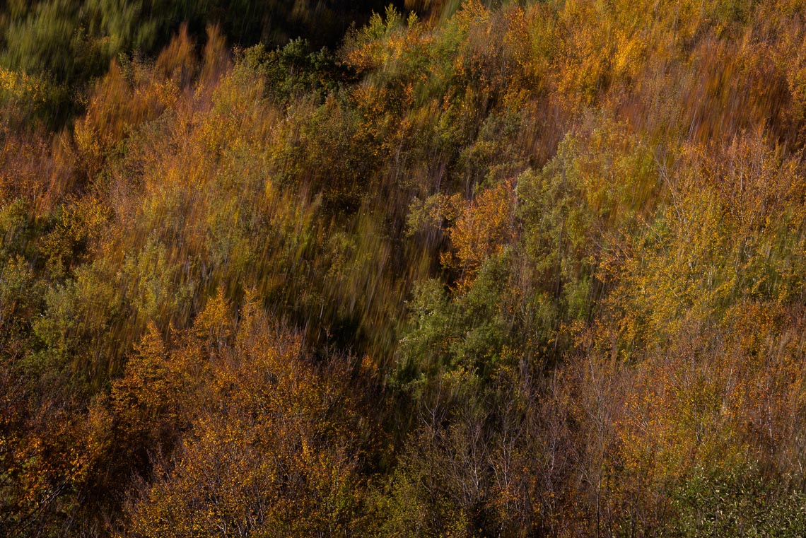 Foliage Autunno Nikon School Workshop Paesaggio Appennino 00005