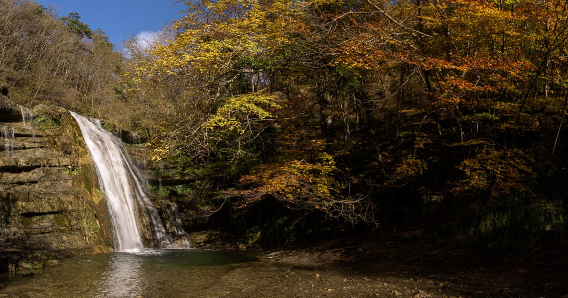 Foliage Autunno Nikon School Workshop Paesaggio Appennino 00008