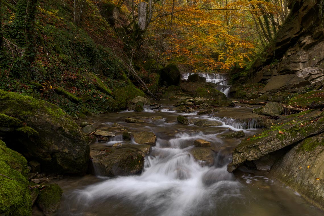 Foliage Autunno Nikon School Workshop Paesaggio Appennino 00010