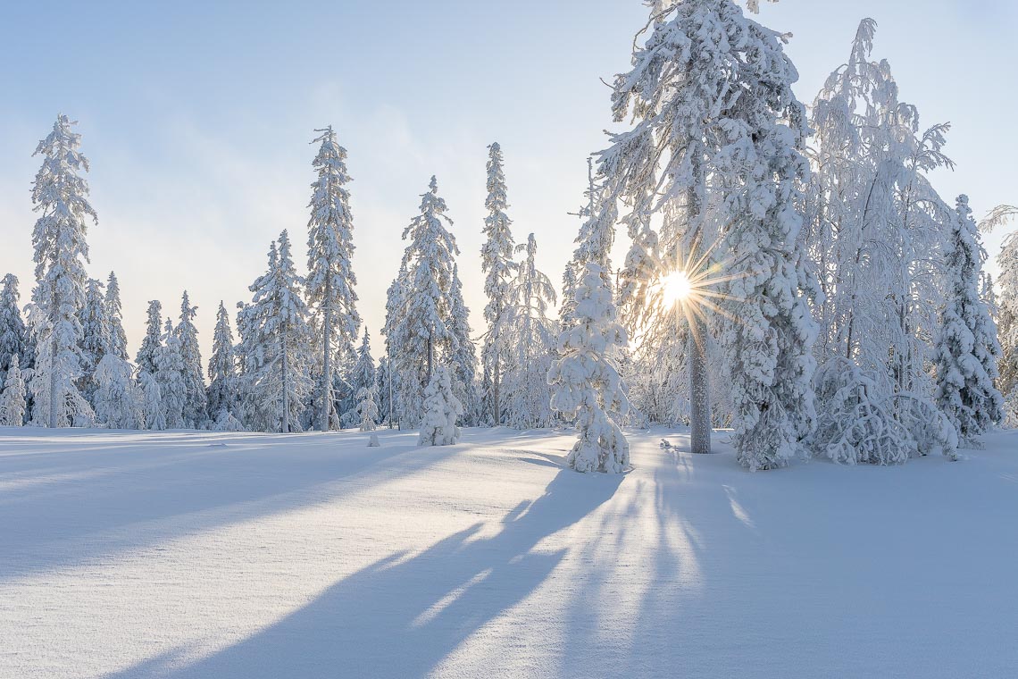 Lapponia Finlandia Svezia Nikon School Viaggio Fotografico Workshop Aurora Boreale Paesaggio Viaggi Fotografici 00005