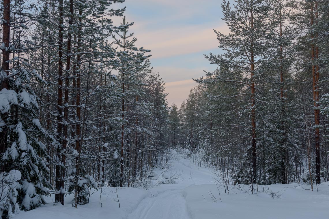 Lapponia Finlandia Svezia Nikon School Viaggio Fotografico Workshop Aurora Boreale Paesaggio Viaggi Fotografici 00014