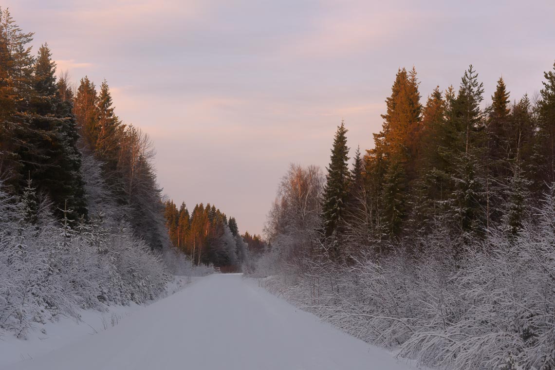 Lapponia Finlandia Svezia Nikon School Viaggio Fotografico Workshop Aurora Boreale Paesaggio Viaggi Fotografici 00027