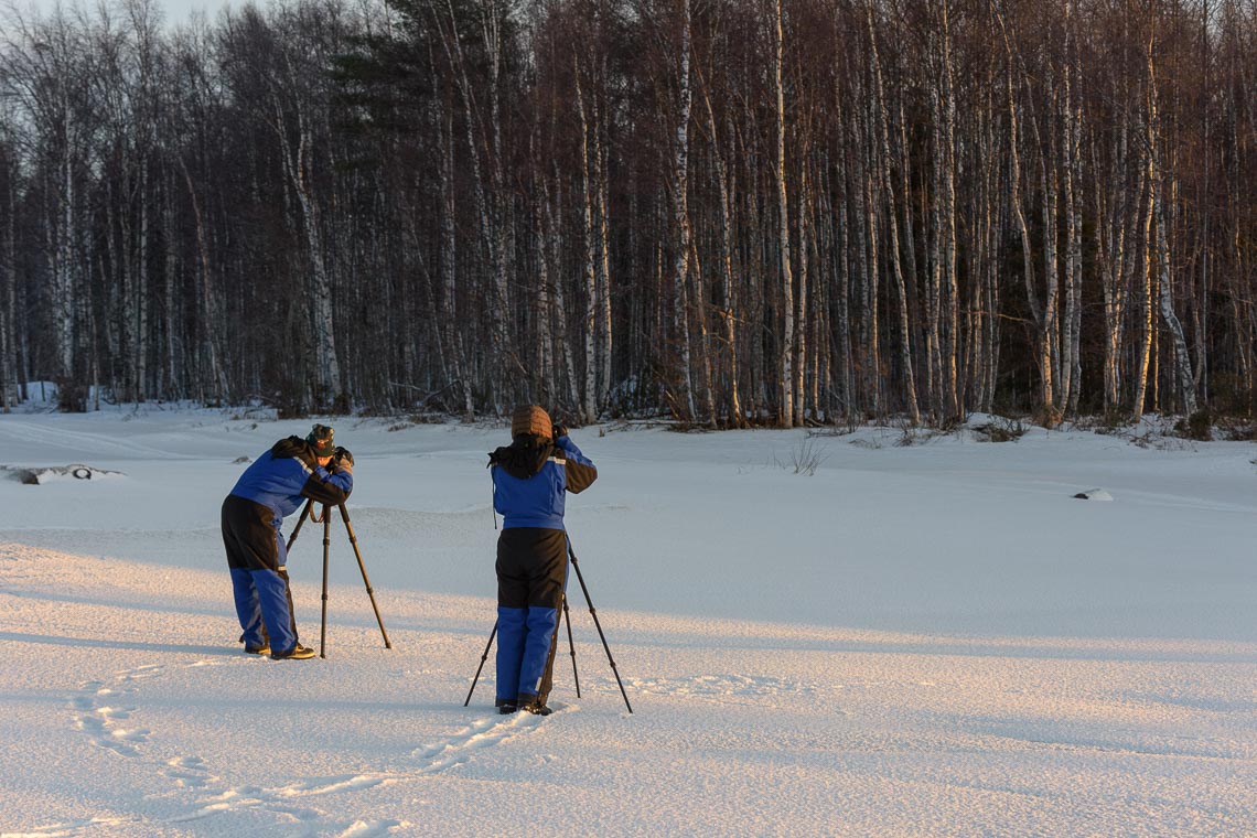 Lapponia Finlandia Svezia Nikon School Viaggio Fotografico Workshop Aurora Boreale Paesaggio Viaggi Fotografici 00028