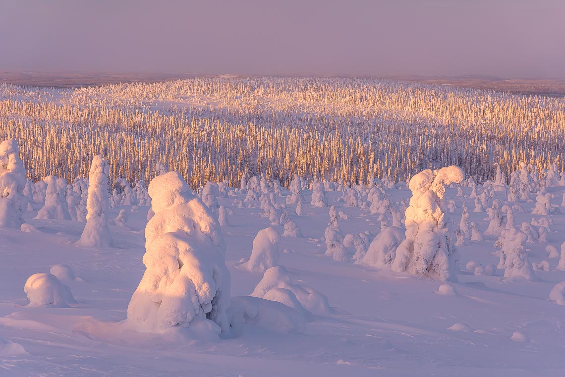 Lapponia Finlandia Svezia Nikon School Viaggio Fotografico Workshop Aurora Boreale Paesaggio Viaggi Fotografici 00030