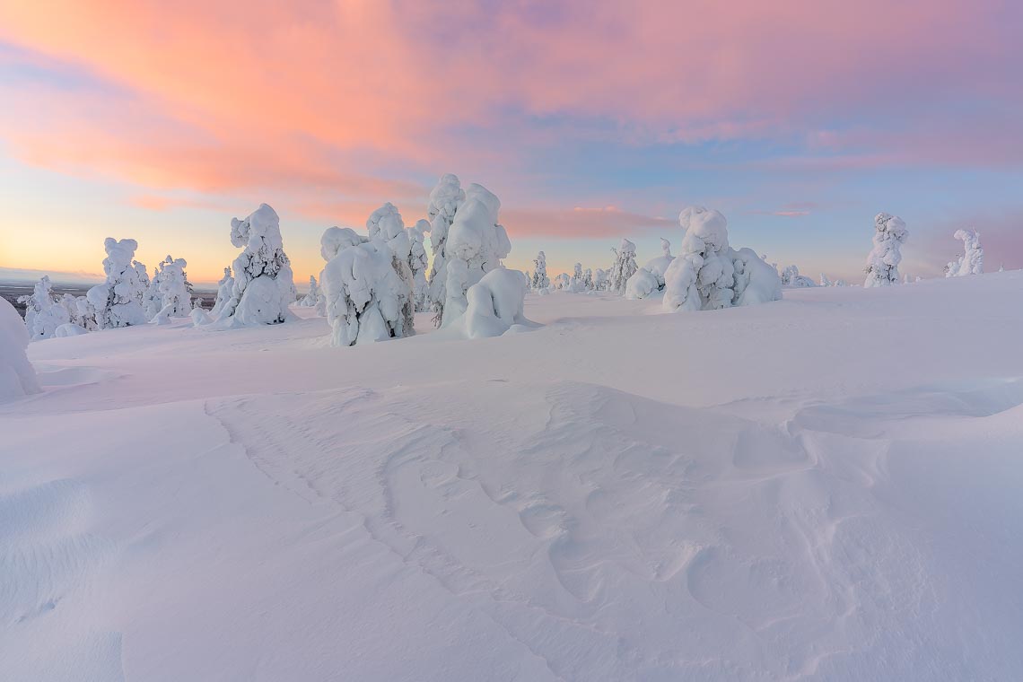 Lapponia Finlandia Svezia Nikon School Viaggio Fotografico Workshop Aurora Boreale Paesaggio Viaggi Fotografici 00033