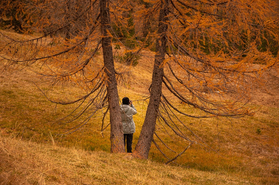 Dolomiti Foliage Nikon School Workshop Viaggio Fotografico Via Lattea Startrail 00006