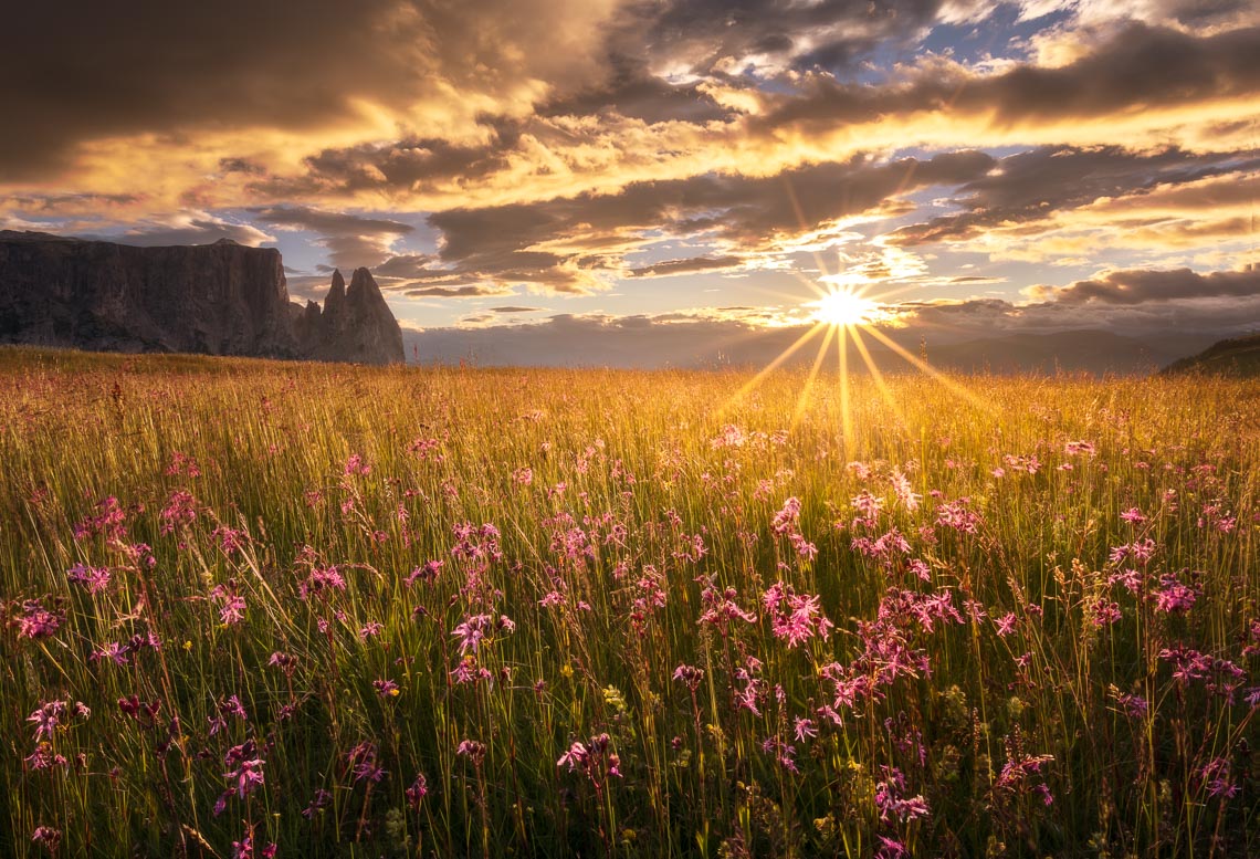 Dolomiti Nikon School Workshop Paesaggio Alpe Siusi Seceda Dolomiti 00020