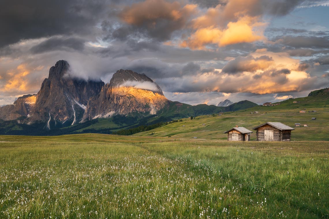 Dolomiti Nikon School Workshop Paesaggio Alpe Siusi Seceda Dolomiti 00021
