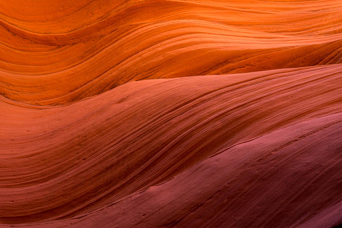 Usa Stati Uniti Nikon School Viaggio Fotografico Workshop Parchi Ovest 00020