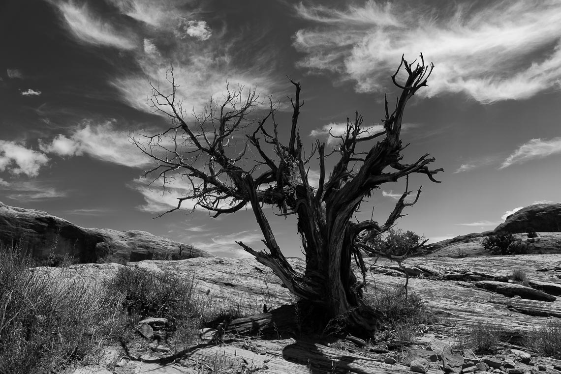 Usa Stati Uniti Nikon School Viaggio Fotografico Workshop Parchi Ovest 00037
