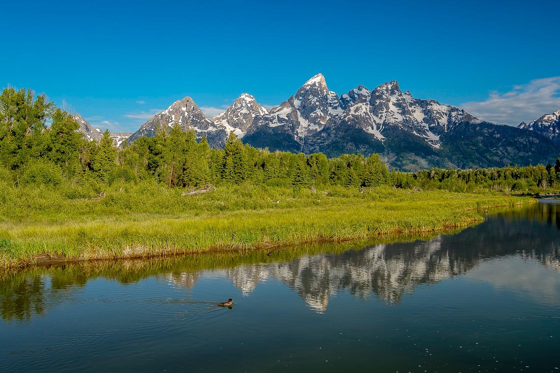 Grand Teton Mountains From Schwabacher's Landing On The Snake Ri