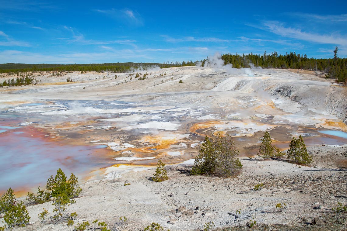 Norris Geyser Basin In The Yellowstone National Park, Usa