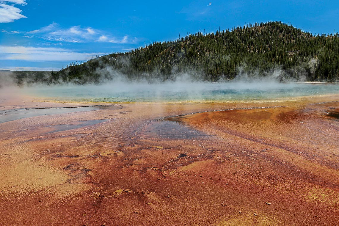 Steam Rises From The Grand Prismatic Spring In Yellowstone Natio