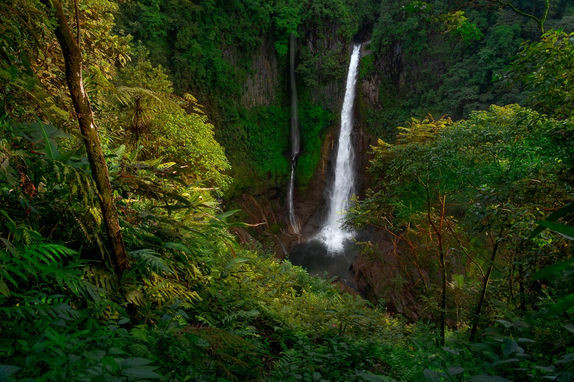 Costa Rica Costarica Nikon School Viaggio Fotografico Workshop Viaggi Fotografici 00008