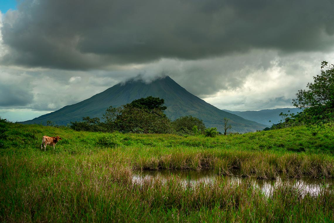 Costa Rica Costarica Nikon School Viaggio Fotografico Workshop Viaggi Fotografici 00027