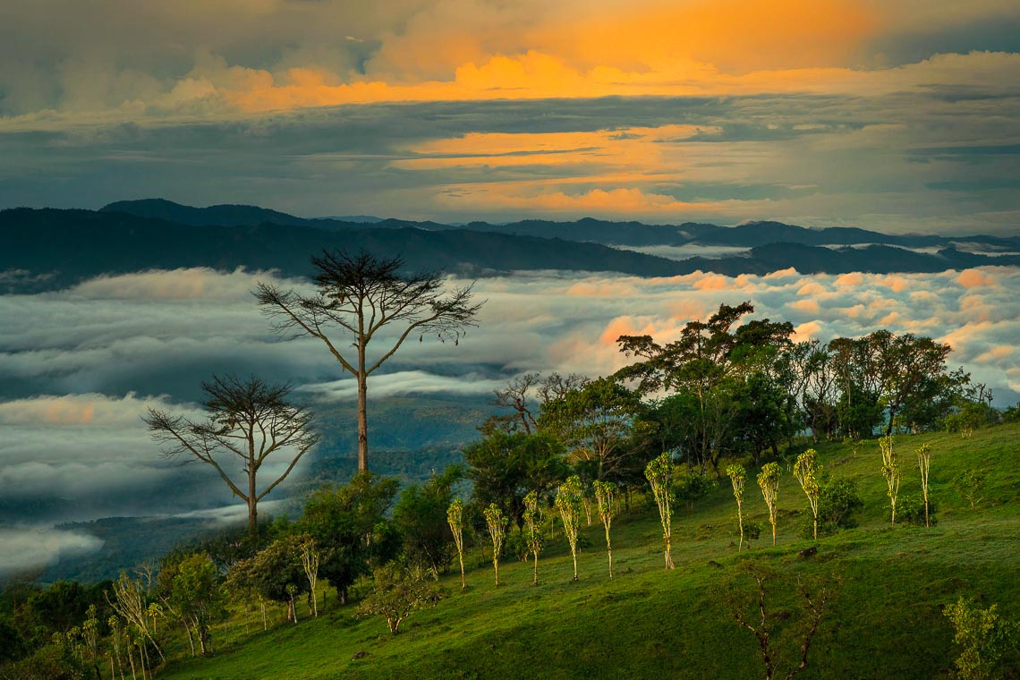 Costa Rica Costarica Nikon School Viaggio Fotografico Workshop Viaggi Fotografici 00030
