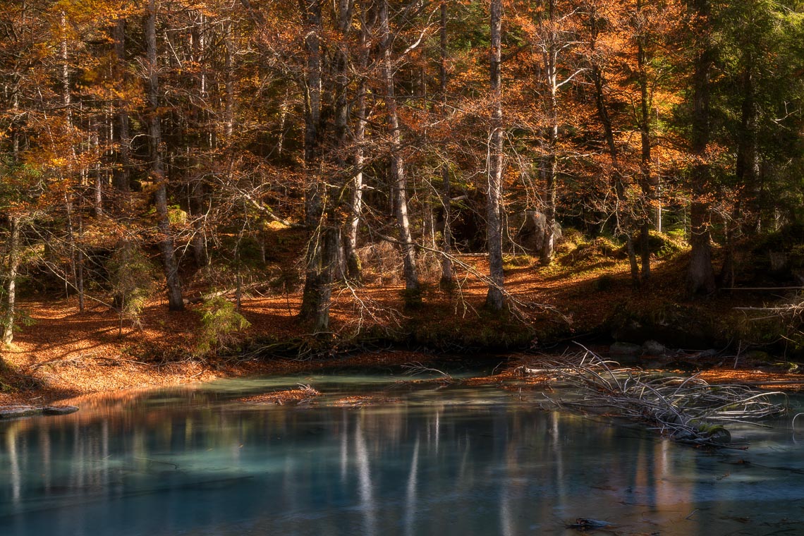 Dolomiti Foliage Autunno Nikon School Workshop Paesaggio Notturna Via Lattea Startrail 00030