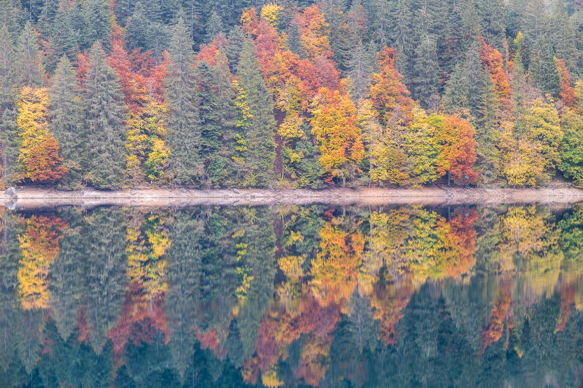 Dolomiti Foliage Autunno Nikon School Workshop Paesaggio Notturna Via Lattea Startrail 00032