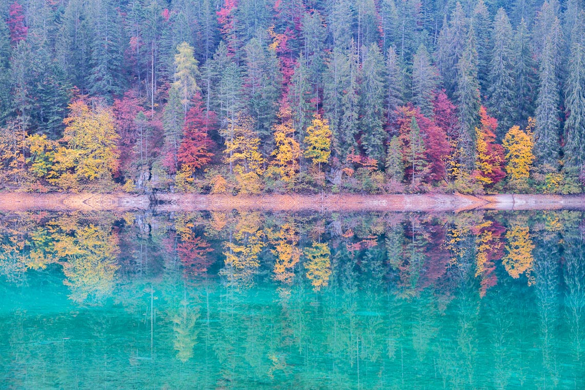 Dolomiti Foliage Autunno Nikon School Workshop Paesaggio Notturna Via Lattea Startrail 00033