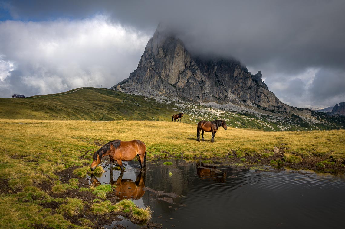 Dolomiti Nikon School Workshop Paesaggio Notturna Via Lattea Startrail 00053