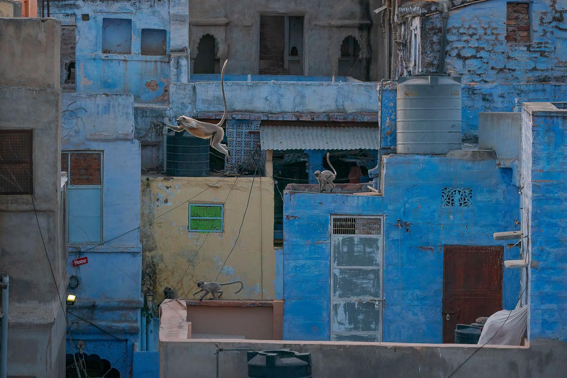 India Nikon School Viaggio Fotografico Workshop Viaggi Fotografici 00039