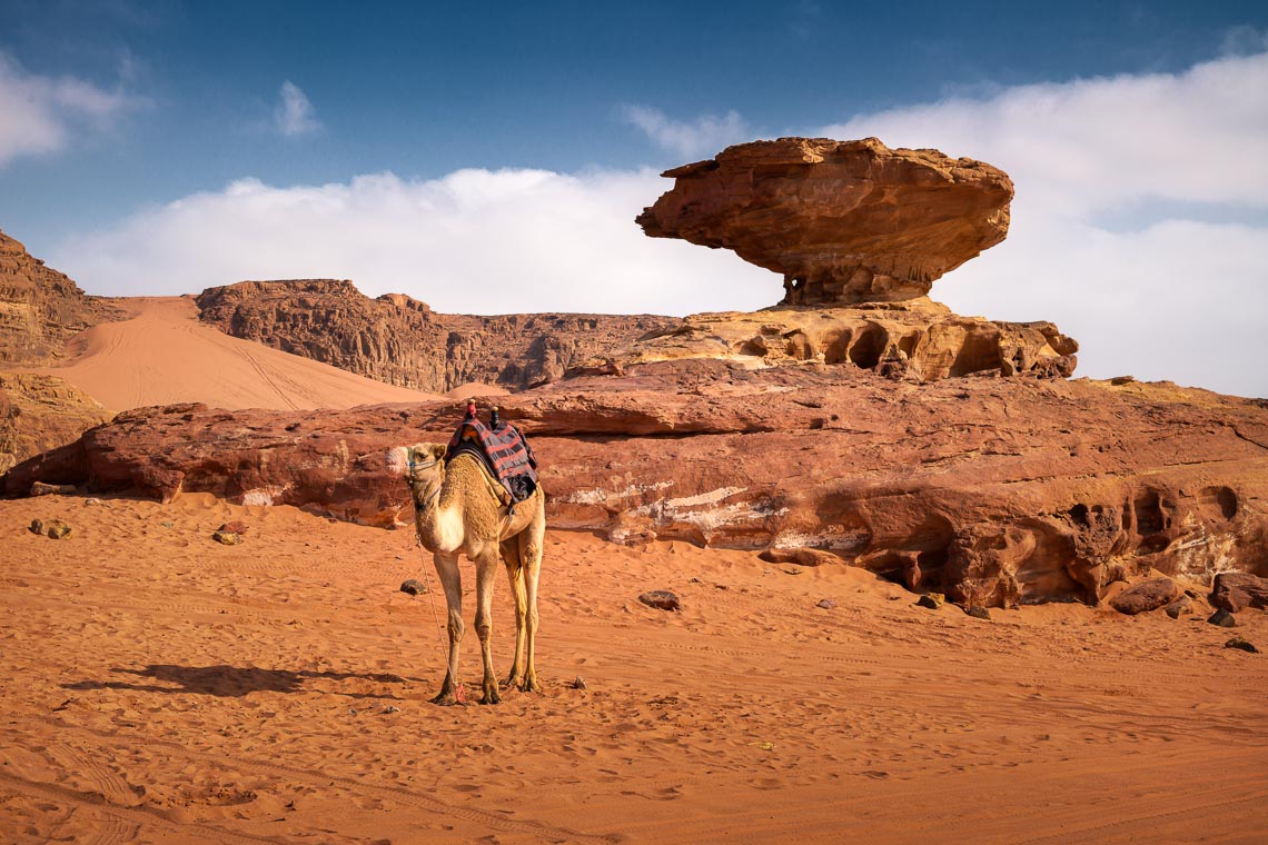 Giordania Viaggio Fotografico Petra Wadi Rum Nikon School Workshop Viaggi Fotografici 00007