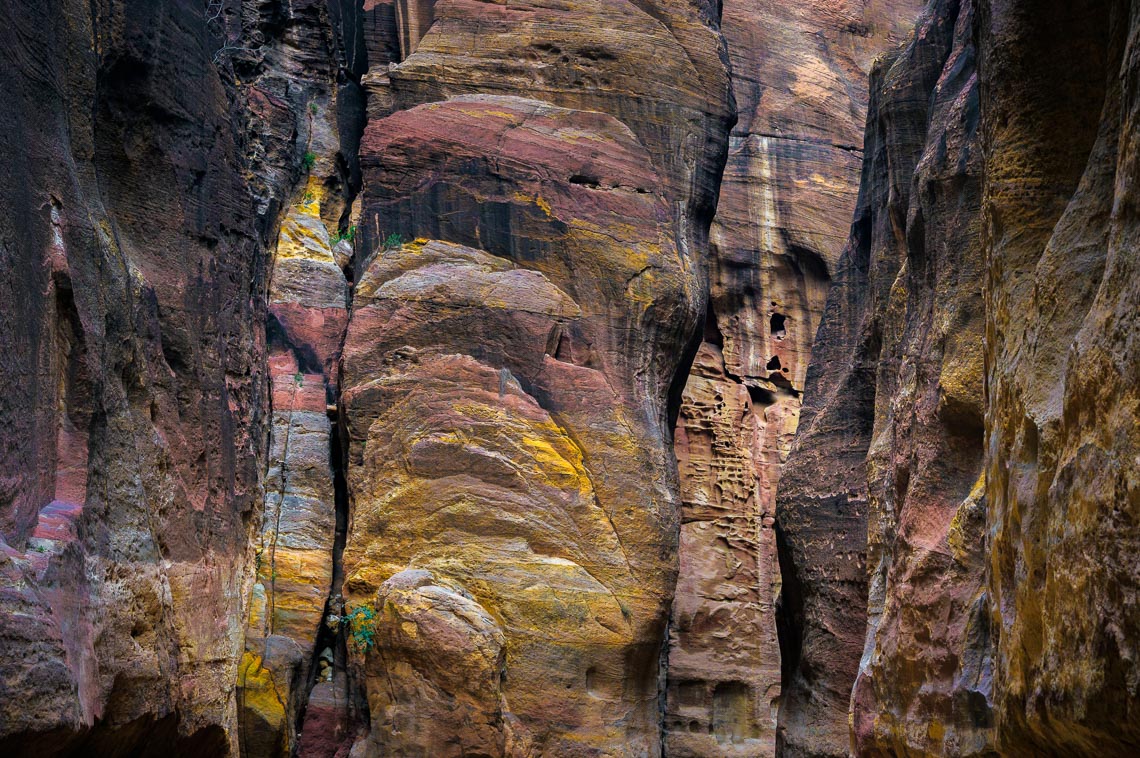 Giordania Viaggio Fotografico Petra Wadi Rum Nikon School Workshop Viaggi Fotografici 00018