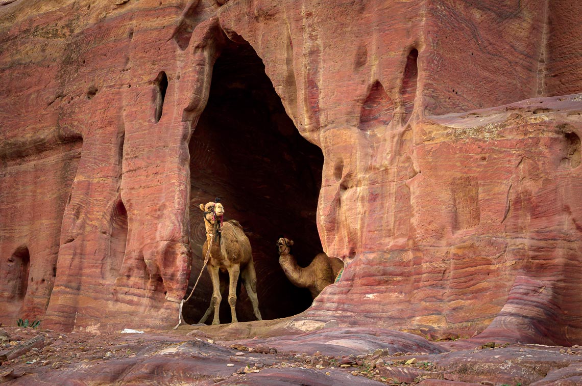 Giordania Viaggio Fotografico Petra Wadi Rum Nikon School Workshop Viaggi Fotografici 00026