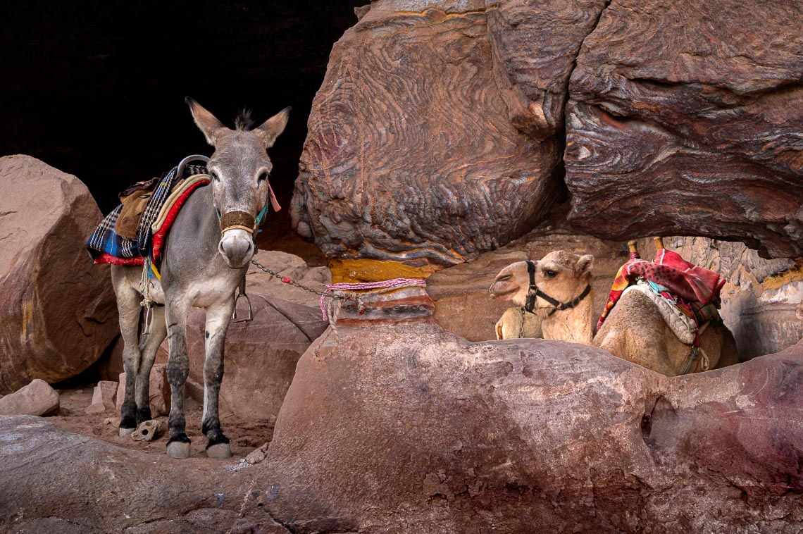 Giordania Viaggio Fotografico Petra Wadi Rum Nikon School Workshop Viaggi Fotografici 00030