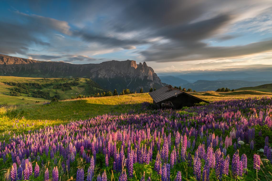 Dolomiti Nikon School Workshop Paesaggio Alpe Siusi Seceda 00009