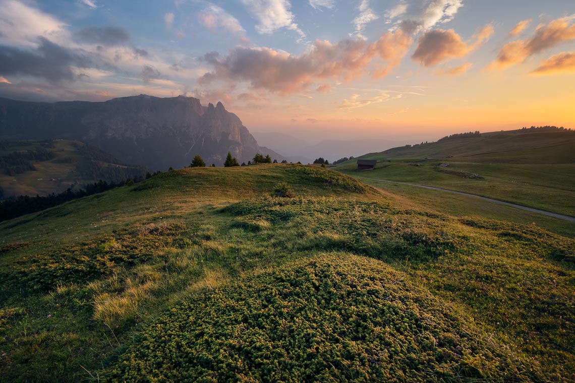 Dolomiti Nikon School Workshop Paesaggio Alpe Siusi Seceda 00013