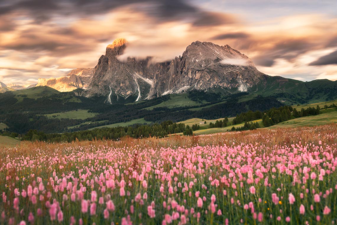 Dolomiti Nikon School Workshop Paesaggio Alpe Siusi Seceda 00019