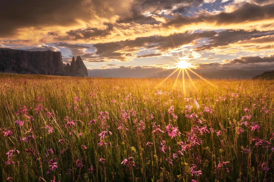 Dolomiti Nikon School Workshop Paesaggio Alpe Siusi Seceda 00020