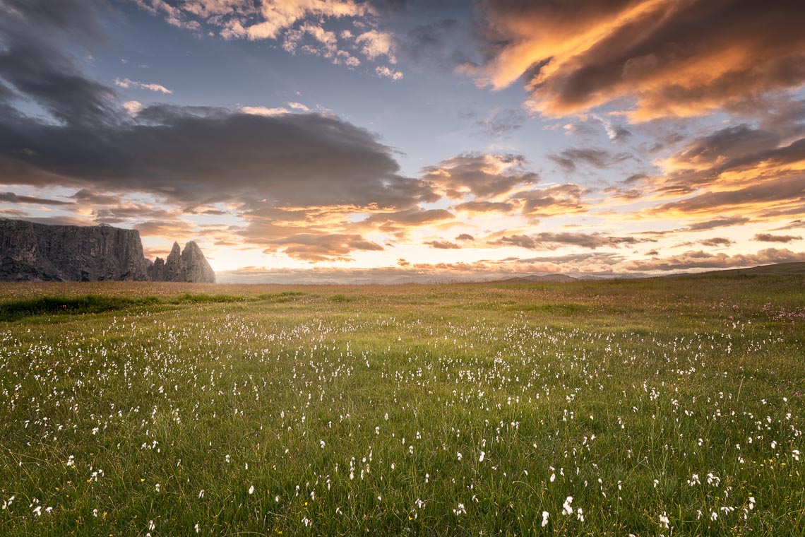 Dolomiti Nikon School Workshop Paesaggio Alpe Siusi Seceda 00022