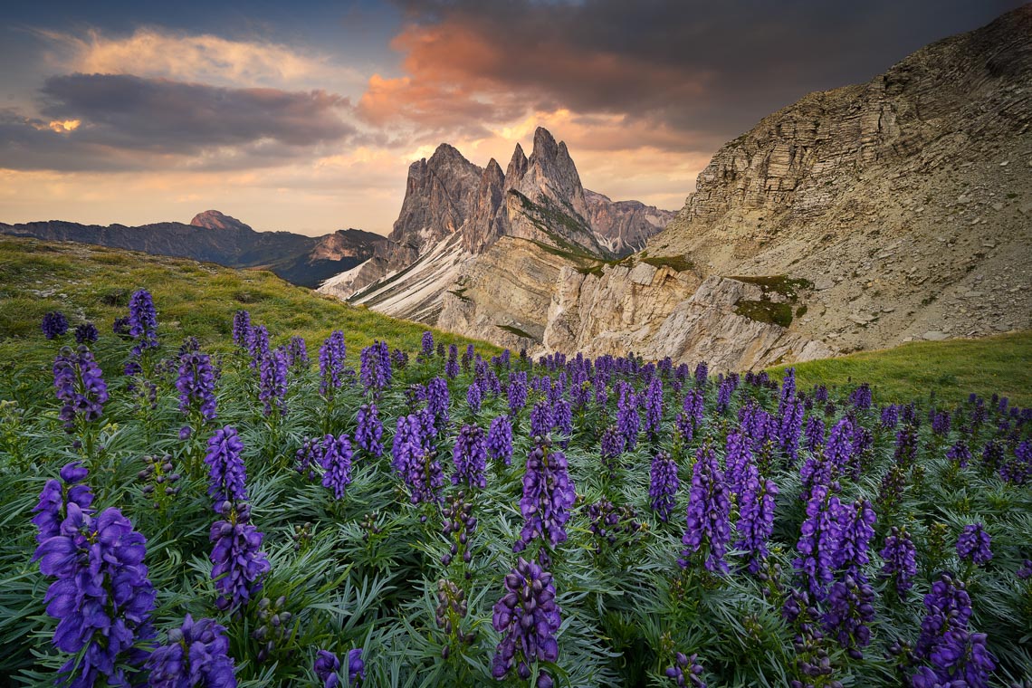 Dolomiti Nikon School Workshop Paesaggio Alpe Siusi Seceda 00029