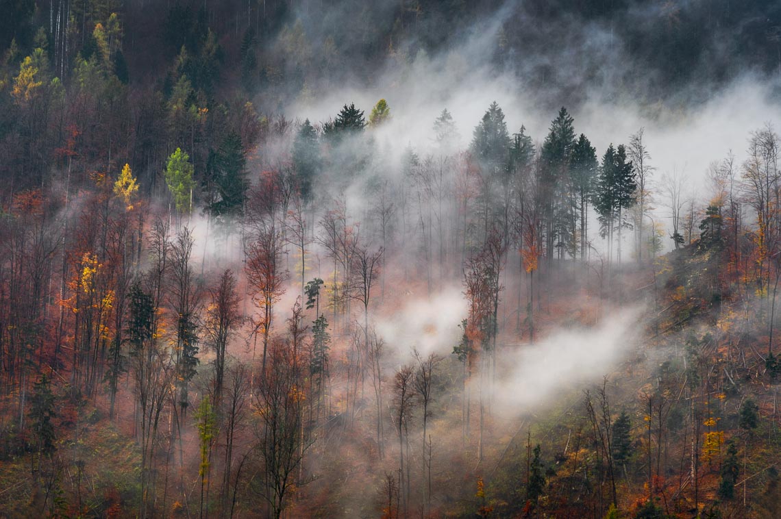 Slovenia Viaggio Fotografico Workshop Nikon School Paesaggio Viaggi Fotografici Bled Foliage Autunno 00030