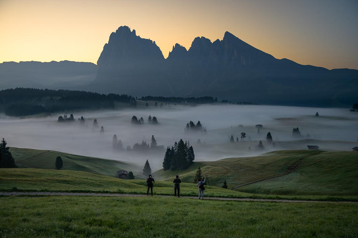 Dolomiti Nikon School Workshop Paesaggio Alpe Siusi Seceda Dolomiti 00029