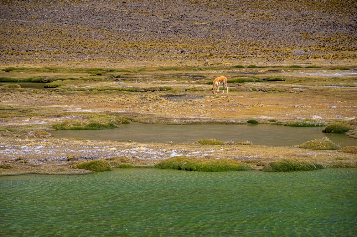 Peru Nikon School Viaggio Fotografico Workshop Viaggi Fotografici 00021