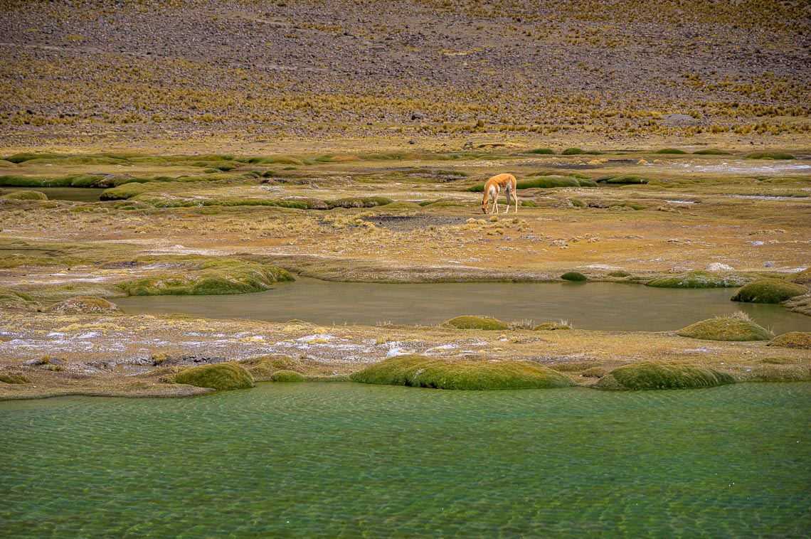 Peru Nikon School Viaggio Fotografico Workshop Viaggi Fotografici 00021