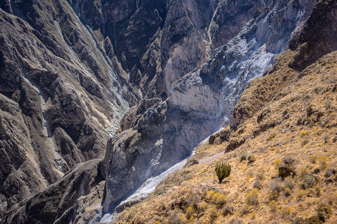 Peru Nikon School Viaggio Fotografico Workshop Viaggi Fotografici 00027