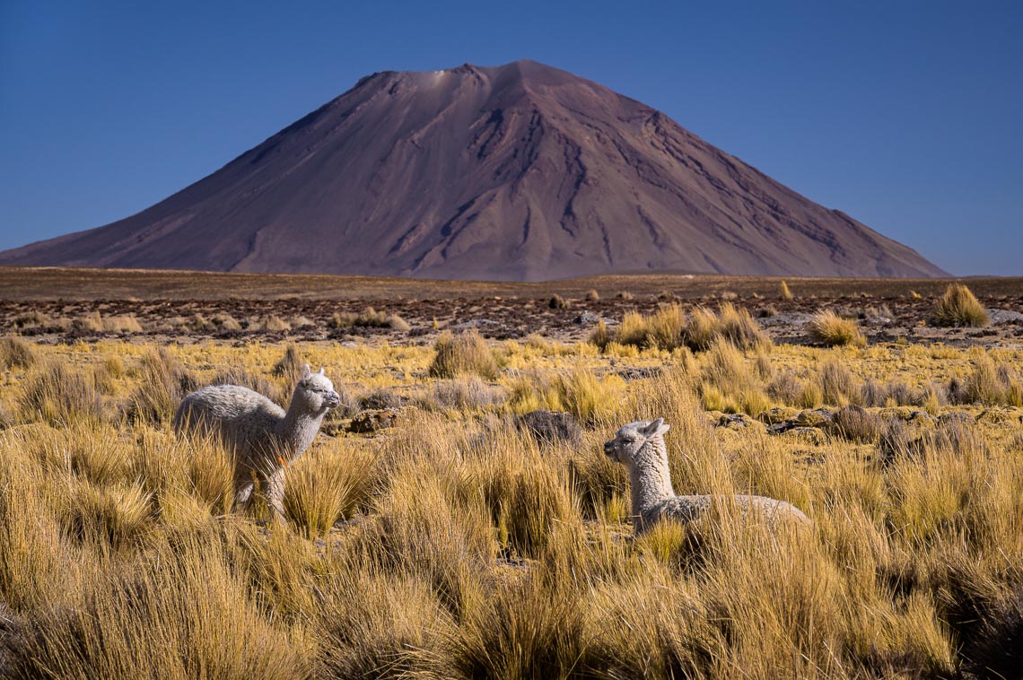 Peru Nikon School Viaggio Fotografico Workshop Viaggi Fotografici 00033