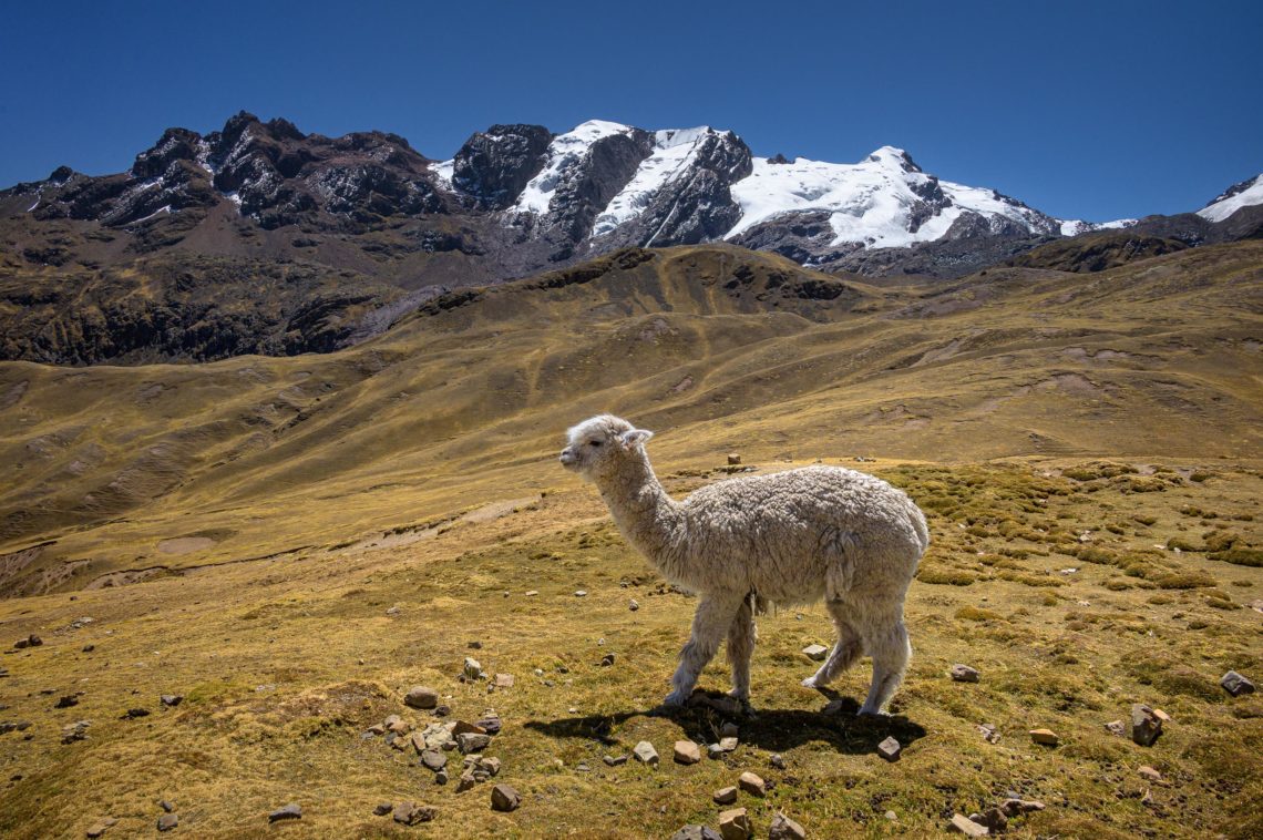 Peru Nikon School Viaggio Fotografico Workshop Viaggi Fotografici 00054