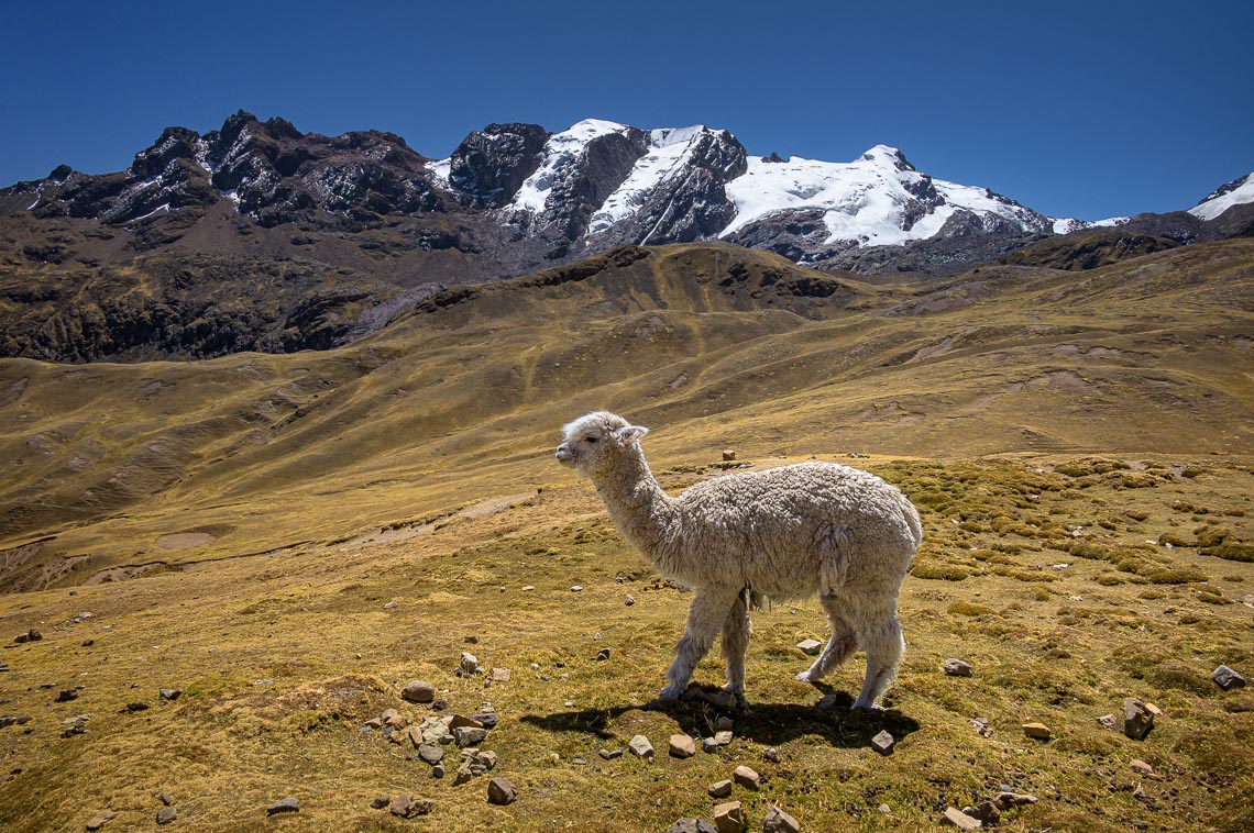 Peru Nikon School Viaggio Fotografico Workshop Viaggi Fotografici 00054