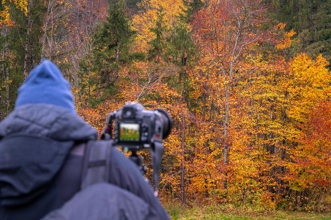 Slovenia Viaggio Fotografico Workshop Nikon School Paesaggio Viaggi Fotografici Bled Foliage Autunno 00010