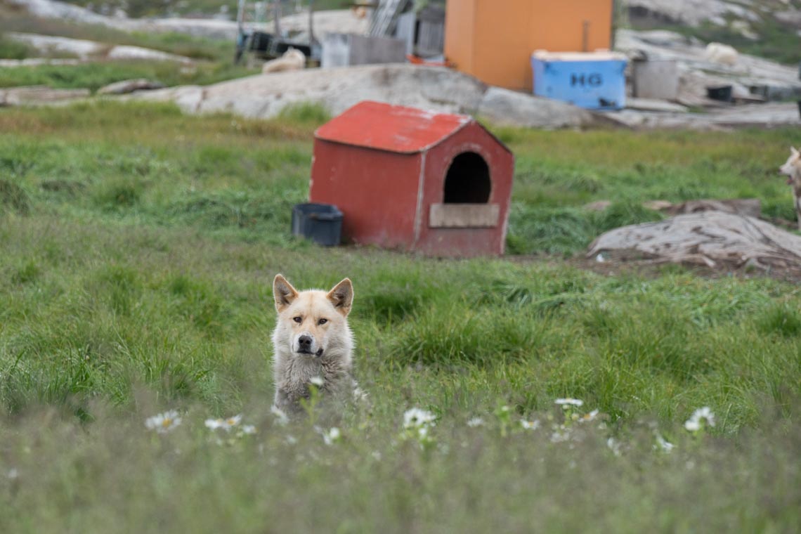 Groenlandia Viaggio Fotografico Nikon School Workshop Ilulissat Disko Iceberg Estate 00003