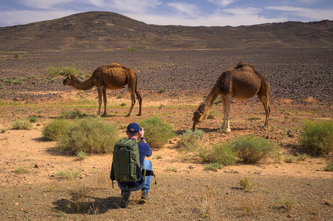 Marocco Nikon School Viaggio Fotografico Workshop Paesaggio Viaggi Fotografici Deserto Sahara Marrakech 00142