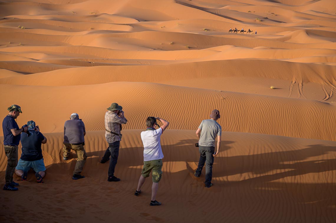 Marocco Nikon School Viaggio Fotografico Workshop Paesaggio Viaggi Fotografici Deserto Sahara Marrakech 00149