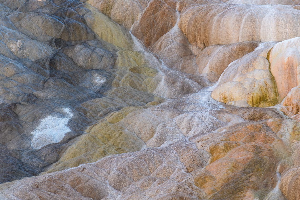 Yellowstone Grand Teton Stati Uniti Nikon School Viaggio Fotografico Workshop 00017