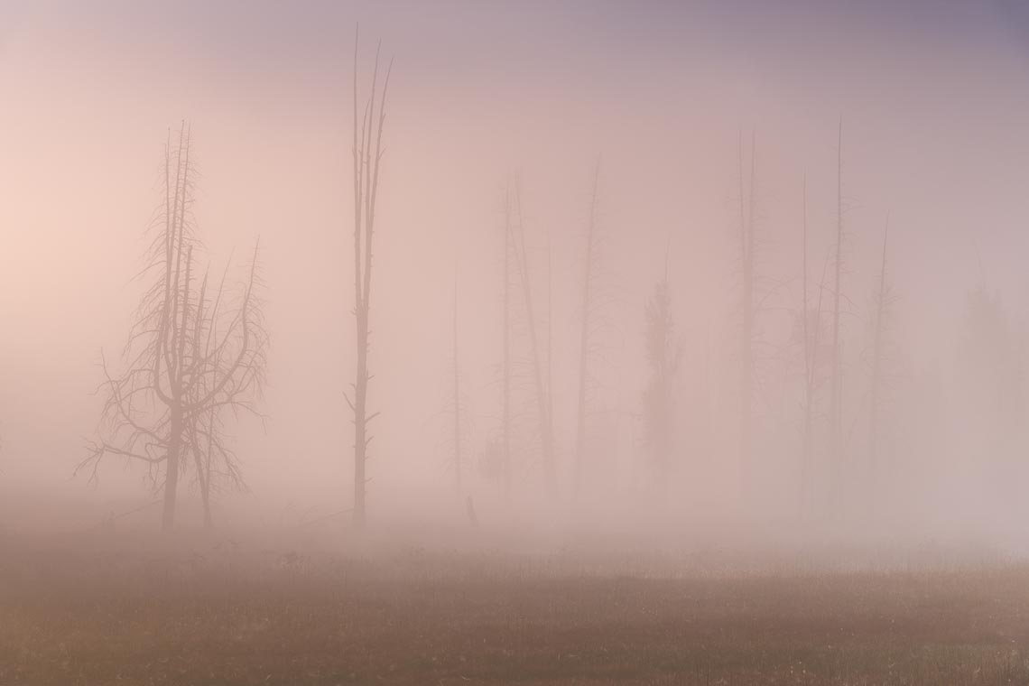 Yellowstone Grand Teton Stati Uniti Nikon School Viaggio Fotografico Workshop 00022