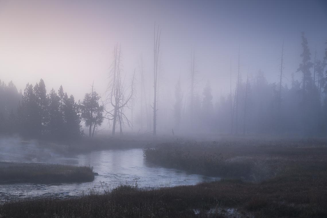 Yellowstone Grand Teton Stati Uniti Nikon School Viaggio Fotografico Workshop 00034